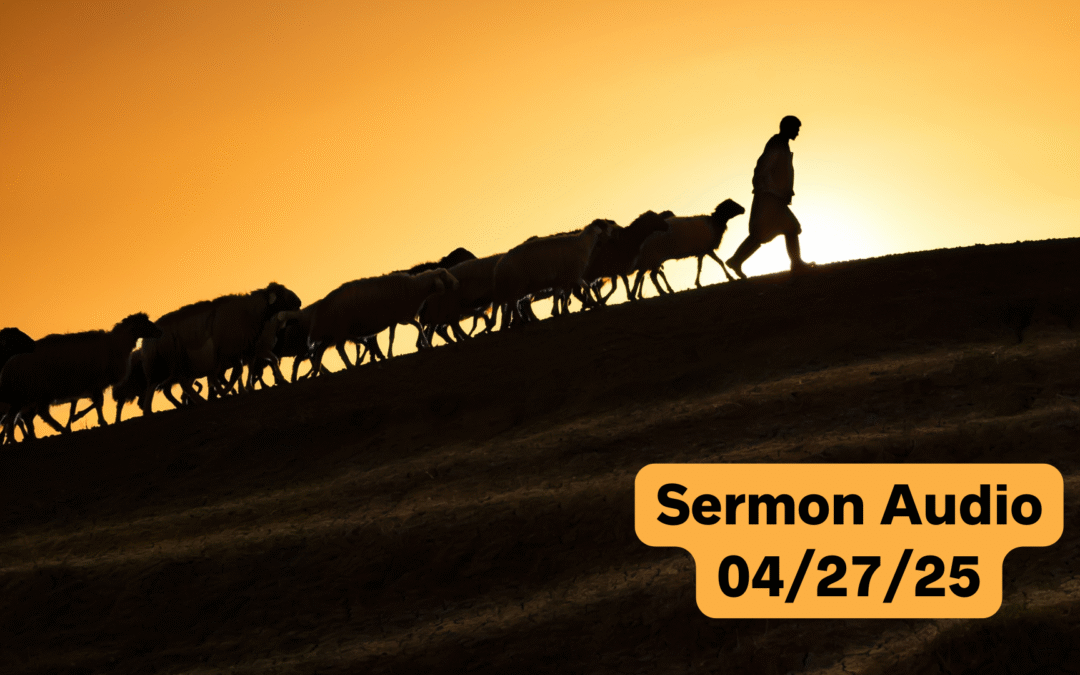 April 27, 2025 Sermon Audio