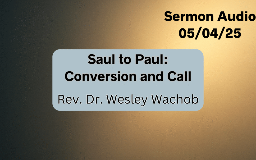 May 4, 2025 Sermon Audio – Guest Preacher Rev. Dr. Wesley Wachob