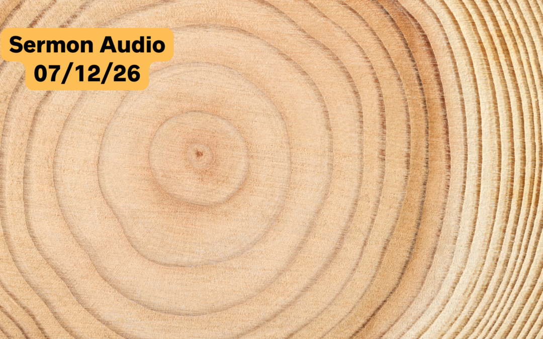 July 12, 2026 Sermon Audio