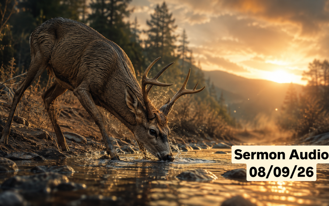 August 9, 2026 Sermon Audio